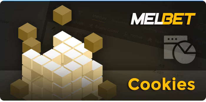 Collection of Cookies by Melbet Users - Reasons and Use
