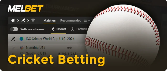 Cricket matches for betting on Melbet