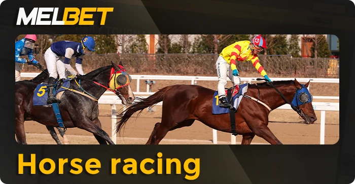 Horse racing at MelBet betting site