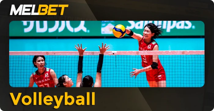 Volleyball betting at MelBet bookmaker