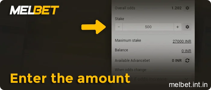 Enter the amount in the corresponding field, step 11