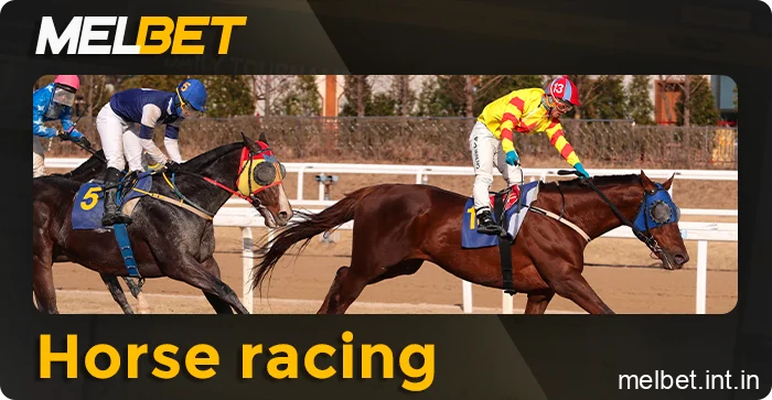 Online horse racing betting markets available on Melbet India
