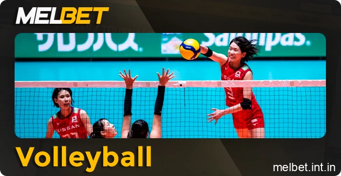 International volleyball matches available for betting on Melbet