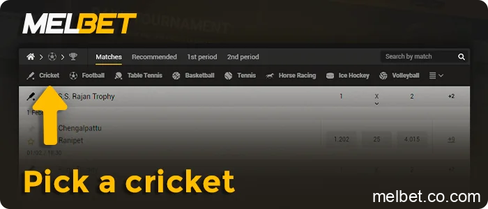 In the sports betting menu, select Cricket, step 6