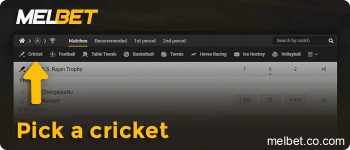 In the sports betting menu, select Cricket, step 6